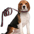 Premium Cute Dog Collar - Luxury Style Durable Pet Collars with Metal Buckle Safety for Small Dogs and Dog Leash
