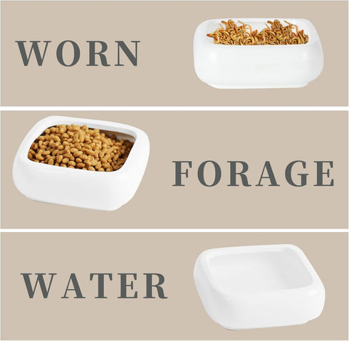 Ceramic Square Reptile Food Bowls - 2-Pack Pet Food Dish for Lizards and Small Snakes