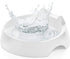 CatGuru Whisker Stress Free Cat Water Bowl, Non Slip Feeding Bowls, Shallow Cat Food Water Bowls (Marshmallow)
