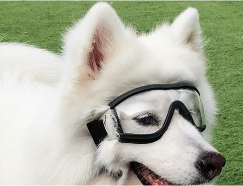 Nacoco Dog Sunglasses Anti-UV Waterproof Goggles for Big Dogs like Golden Retriever and Samoyed