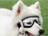 Nacoco Dog Sunglasses Anti-UV Waterproof Goggles for Big Dogs like Golden Retriever and Samoyed