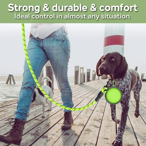 COOYOO 2 Pack Dog Leash, 2/5/6 FT Heavy Duty, Comfortable Padded Handle, Reflective for Medium Large Dogs with