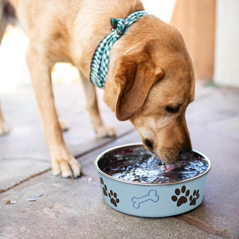 Loving Pets Bella Dog Bowls, Stainless Steel, Spill Proof Dog Food Bowl, Cat Bowl, Medium 20-25 lbs, Murano Blue