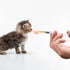 HAOYUSTORE 4 Pet Nursing Bottle, Nursing Bottle Kits, Kitten Bottle Feeding Kit, Nursing Bottle Kits for Puppy & Kitten