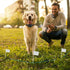 AYNEFY Pet Fence Coil Wire Cables, 300m/984ft Dog Fencing System Boundary Electric Wire for Dog and Cat Containment