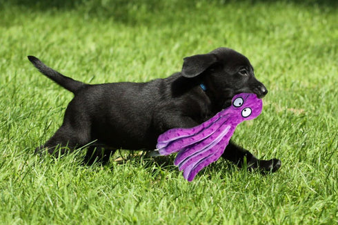 Squeaky Dog Toys, Durable Plush Puppy Toys for Small, Medium and Large Breeds, Tough Dog Toys for Boredom (Purple