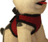 Soft No Pull Step-in Dog Harness, Small Dog XXS XS Vest for Teacup, Chihuahua, Yorkie, Pomeranian, Red Mesh