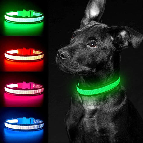 YFbrite Light up Dog Collar, USB Rechargeable LED Puppy Collar for Night Walking (Green, Large)
