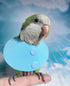 Parrot Neck Collar, Anti-bite Protective Neck Cover for Birds, Feather Healing (S)