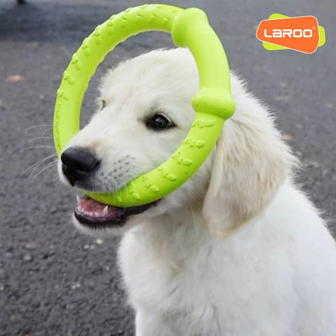 LaRoo Dog Flying Ring Toys, Durable Floating Disc for Training Outdoor Play for Medium Large Dogs (Small Green/18cm)