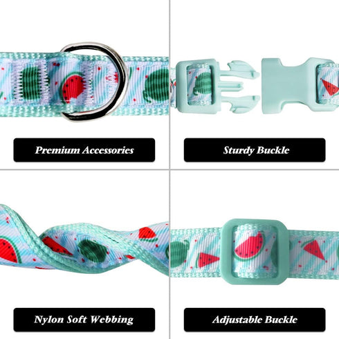 azuza Stylish Watermelon Bowtie Dog Collar for Puppy and Small Dogs