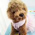 Fashion Pet Dog Clothes, Striped Mesh Puppy Dresses, Small, Pink
