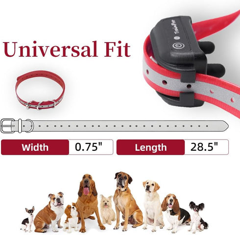 Replacement ¾” Collar Strap Bands | Double Buckle Loop Training for All Brands of Pet Shock Bark Collars