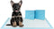 BV XXL Puppy Pads 20 Count 36" x 30" - Leak-Proof Pee