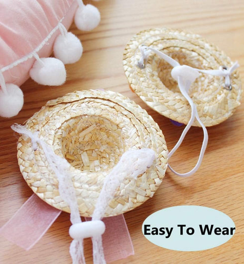 2 Pack Handmade Rattan Bearded Dragon Hats, Reptile Apparel Accessories, Lizard Caps for Small Animals