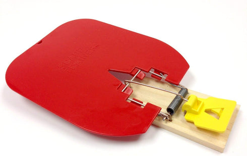 Snappy Trainer in Red