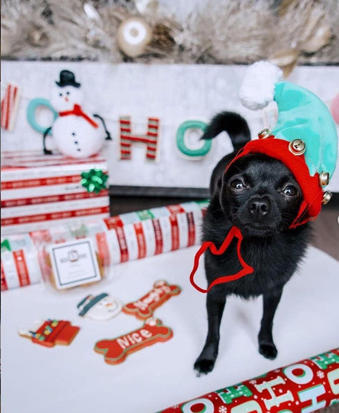BoxDog Christmas Cookies for Dogs - Handmade Holiday Cookie Gift, Christmas Treats You Can Eat with Your Dog!