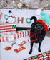 BoxDog Christmas Cookies for Dogs - Handmade Holiday Cookie Gift, Christmas Treats You Can Eat with Your Dog!