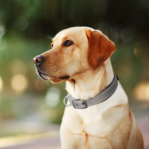 Fida Heavy Duty Dog Collar - Ultra Comfortable Soft Neoprene Padded, Adjustable Reflective Nylon for Large Breeds