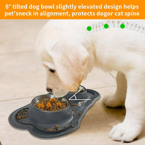 Dog Bowls Stainless Steel Slow Feeder Set with Silicone Mat, 100% Waterproof BPA Free No-Spill Pet Feeder Water Bowls
