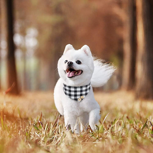 EXPAWLORER Dog Collar and Leash Set - Classic Plaid Dog Bow Tie and Bandana Collar with Bell, Adjustable Leash
