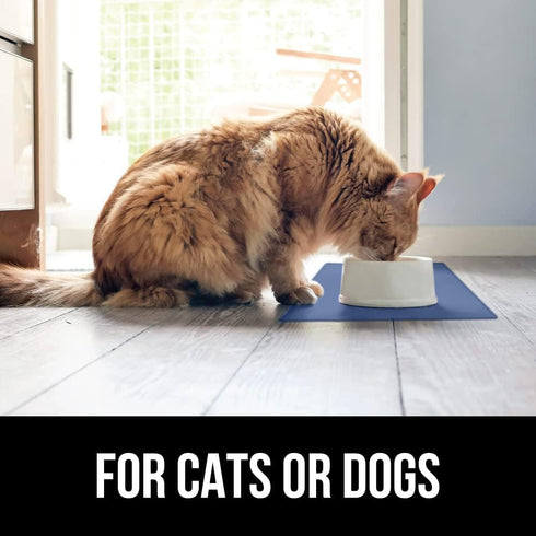 Gorilla Grip 100% Waterproof Raised Edge Silicone Pet Feeding Mat - Dog Cat Food Mats Protect Floors, 16x10, Blue