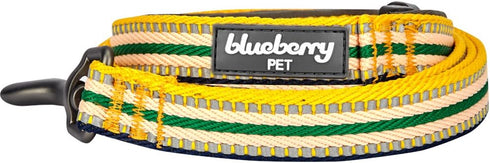 Blueberry Pet Large 3M Reflective Multi-colored Stripe Dog Leash, 4 ft x 1", Yellow & Green