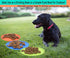 Dog Flying Disc, 3 Pack Soft Rubber Interactive Flying Toys for Small and Large Dogs, 7 inch