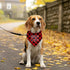 ZPPRJF (B16) Big Sister Buffalo Plaid Plaid Plaid Blue Camo Pet Scarf Dog Bandana Accessories Poppy For Small Medium