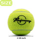 12 Pack Magicorange Tennis Balls, Advanced Training Tennis Balls Practice Balls, Come with Mesh Bag for Easy Transport
