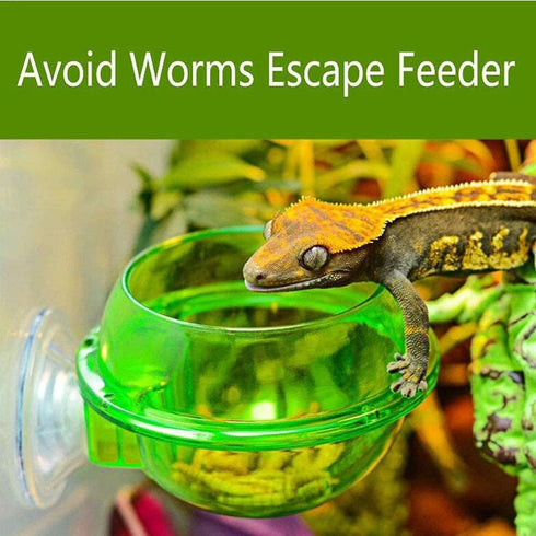 Tfwadmx Chameleon Bowl, Reptile Feeding Feeder, Water Dish Gecko Ledge Suction Cup Feeder, 2 Pcs