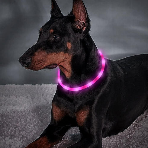 BSEEN Light Up Dog Collar, Silicone LED Rechargeable Glowing Puppy Collar, Pink