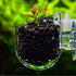 3PCS Acrylic Aquatic Red Worm Cups with 6 Suction Cups, Aquarium Plant Holder for Live Fish Tank