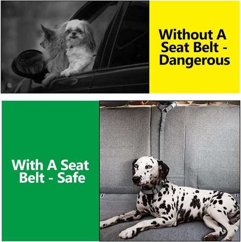 Plutus Pet Dog Seat Belt for Car Headrest, Reflective and Adjustable Restraint with Elastic Bungee for Safety, Vehicle