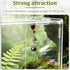 Lovarisse Insects(Wood,Size:4.5 3cm) Walnut Skin Spider Shelter,Magnetic Jumping Spider Habitat,Handmade Climbing