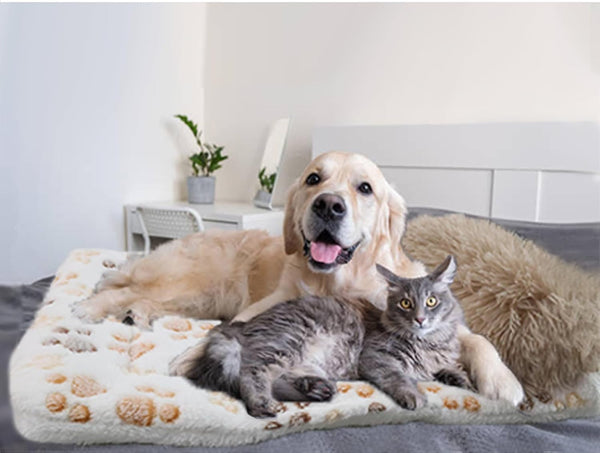 Dog Crate Mat with Pillow - Warm Kennel Liner Blanket, Plush Big Dog Bed 35x26 inches