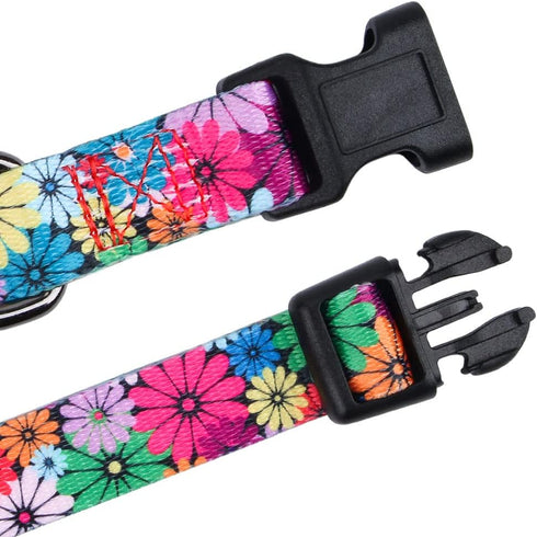 Rhea Rose Dog Collar for Small Dogs, Floral Pattern for Girl and Boy Dogs