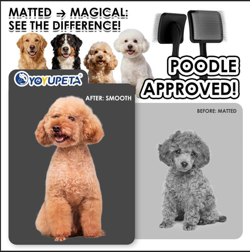 3pc Large Slicker Brush for Dogs - Long Pin Deshedding Brush for Mats & Shedding on Long Haired Dogs, Doodles, Poodles