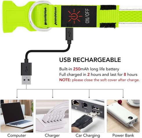 YFbrite Light up Dog Collar, USB Rechargeable LED Puppy Collar for Night Walking (Green, Large)
