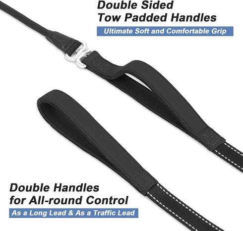 Slip Lead Dog Leash with Double Handle, Reflective Heavy Duty Nylon Slip Leash for Large Medium Small Dogs, 5FT Black