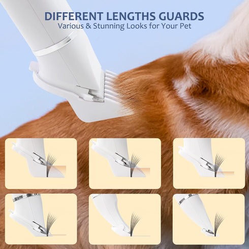 4 1 in Dog Grooming Kit - Dog Clippers, Rechargeable, Low Noise - Multi-Functional for Hair on Pets Toes Hair Repair on