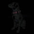 Mile High Life Reflective Dog Collar, Light Weight Nylon Puppy Collars, Solid Pink for Small Dogs (X-Small)