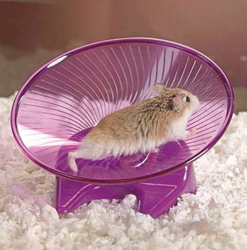 Ware Manufacturing Flying Saucer Exercise Wheel for Small Pets, 5-Inch, Colors May Vary