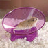 Ware Manufacturing Flying Saucer Exercise Wheel for Small Pets, 5-Inch, Colors May Vary