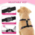 Lukovee Dog Seat Belt for Car, Adjustable Dog Car Harness for Large Medium Small Dogs, Soft Padded & Breathable Mesh