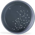 Fringe Studio "Celestial Small Stoneware Pet Bowl (478002) Navy