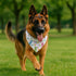 YJIKRTVT Easter Dog Bandanas, Happy Easter Bunny Pet Scarf, Adjustable Triangle Bib for Small Medium Dogs, Cute Easter