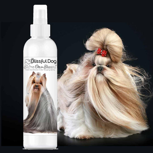 The Blissful Dog Shine-On + Sheen Coat Dog Spray, Easy-to-Use Leave-in Conditioner for Dogs, Detangler Spray, 8 oz.