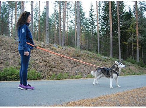 Creation Core Dog Running Bungee Leash with Control Handle Elastic Nylon Pet Leads Rope, Red L