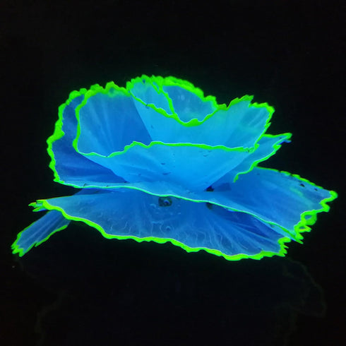 Besimple Artificial Coral Ornament, Glowing Effect Resin Aquarium Plants for Fish Tank Decorations in Blue